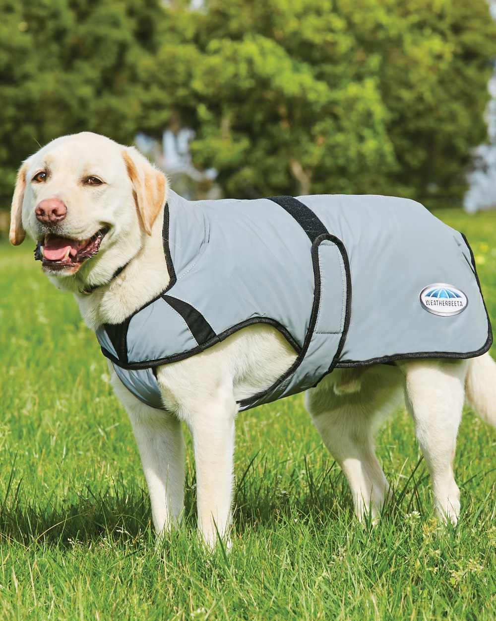 WeatherBeeta ComFiTec Reflective Dog Coat Medium in Silver