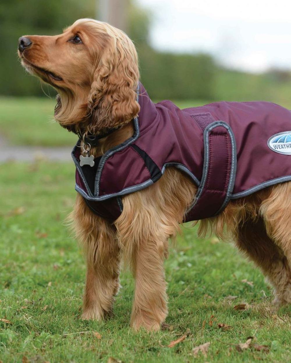 WeatherBeeta ComFiTec Windbreaker Free Deluxe Dog Coat in Maroon/White/Grey