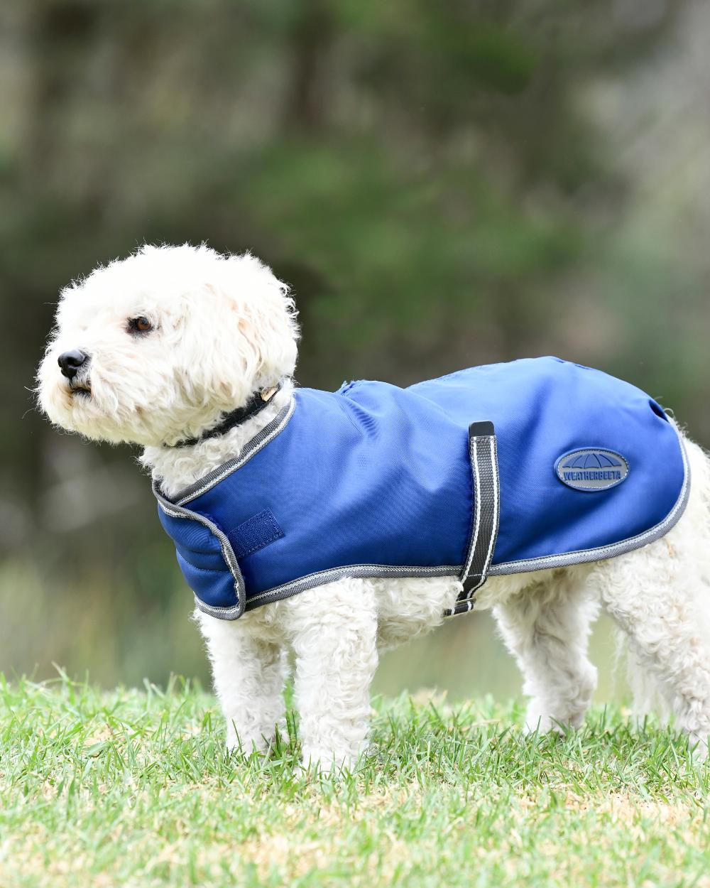 WeatherBeeta ComFiTec Windbreaker Free Dog Coat in Blue/White/Grey