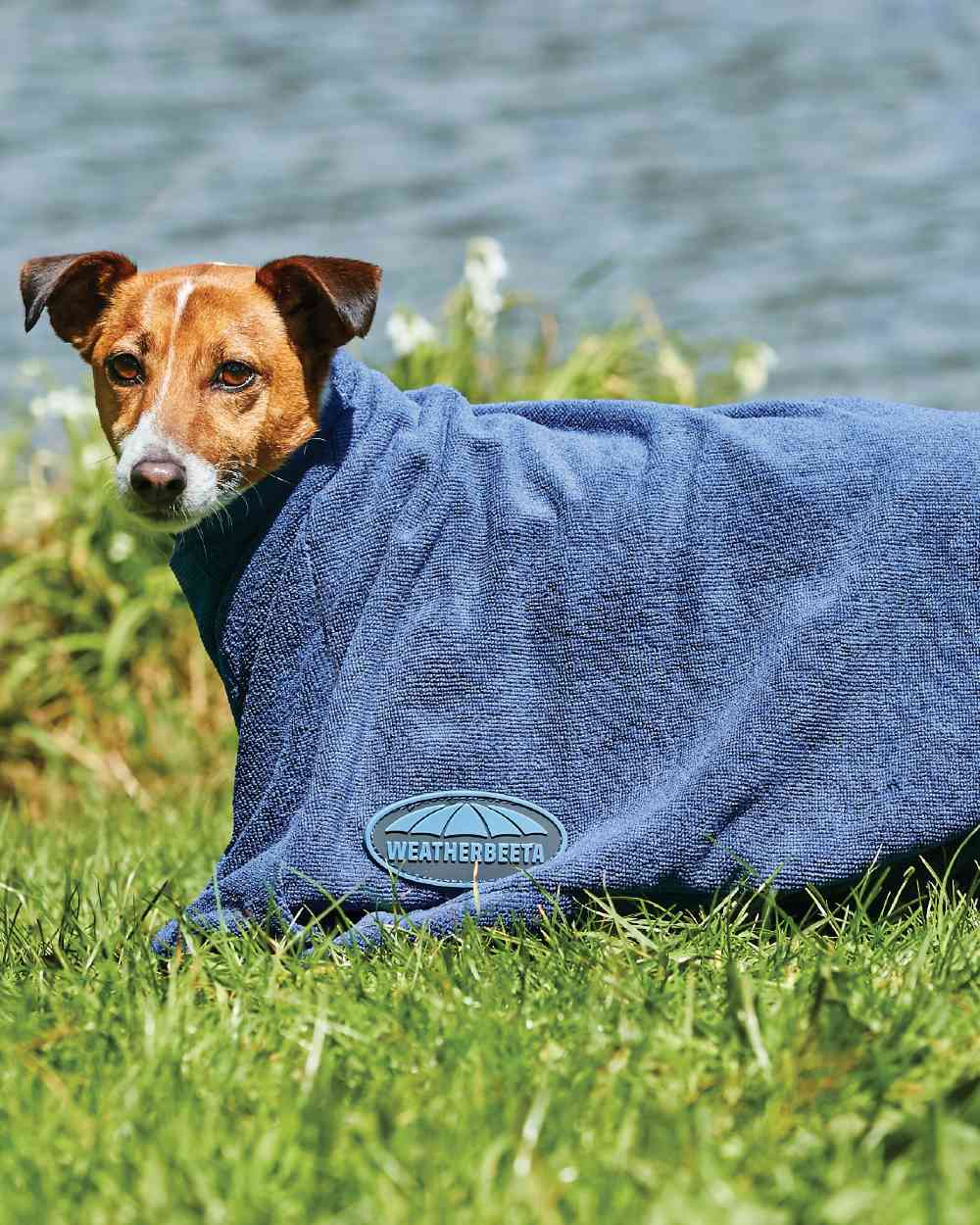 WeatherBeeta Comfitec Dry-Dog Bag