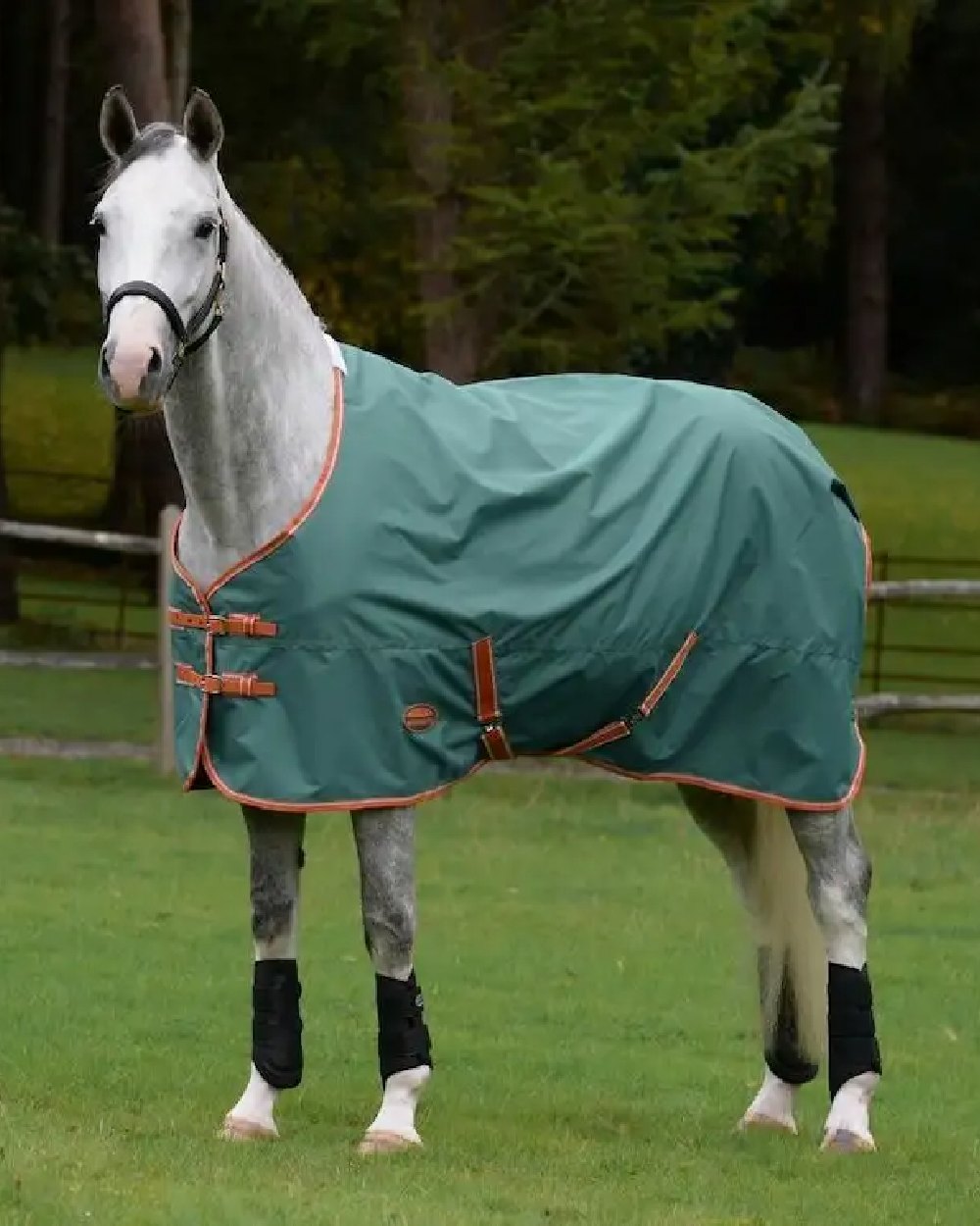 Green Burnt Orange White coloured Weatherbeeta ComFiTec Tyro Standard Neck Medium on blurry background