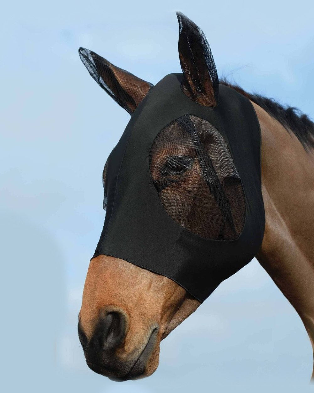 Black Black coloured WeatherBeeta Stretch Bug Eye Saver With Ears on blue background