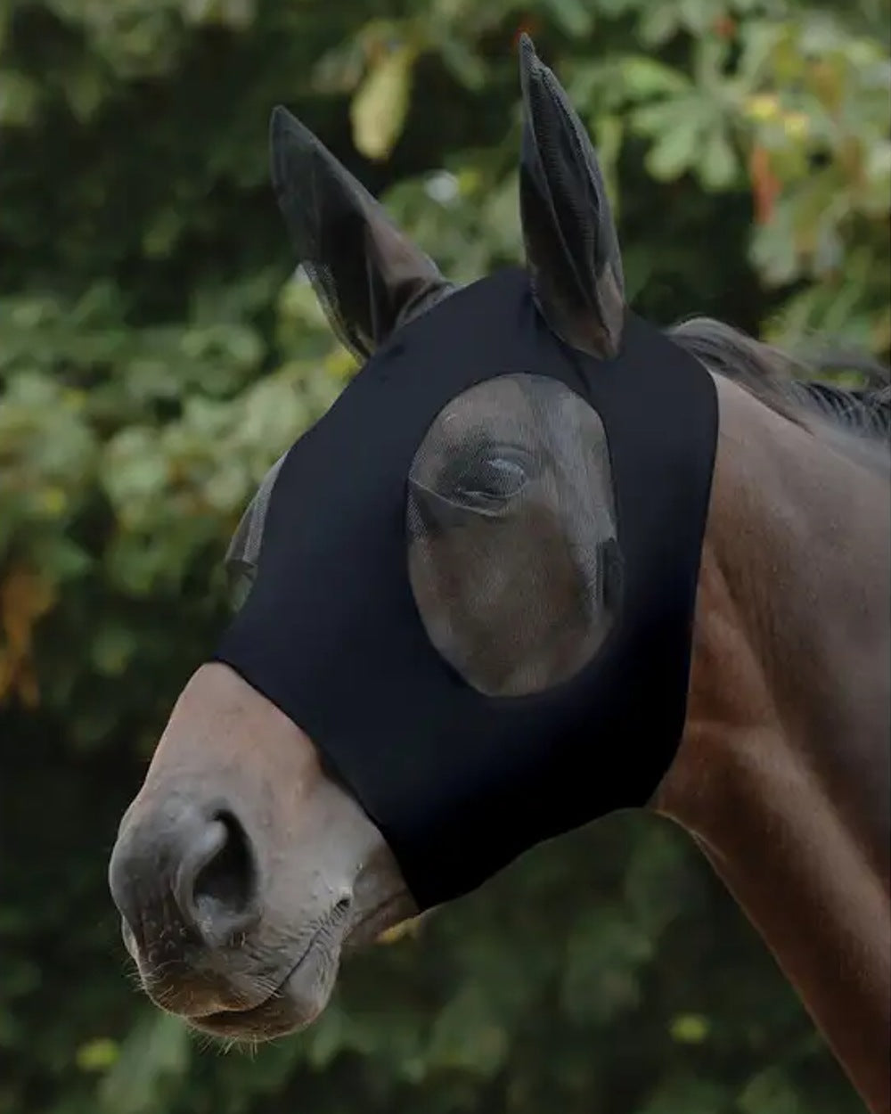 Black Black coloured WeatherBeeta Stretch Bug Eye Saver With Ears on blurry background