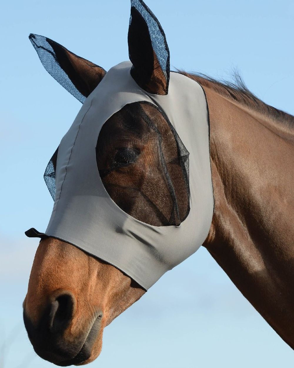 Black Grey coloured WeatherBeeta Stretch Bug Eye Saver With Ears on blue background