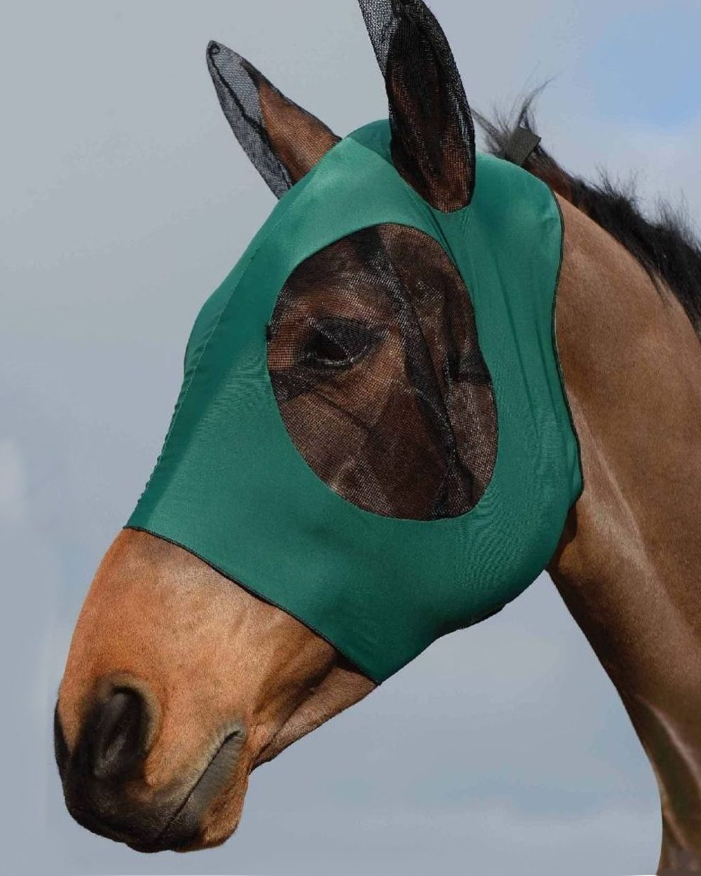 Hunter Black coloured WeatherBeeta Stretch Bug Eye Saver With Ears on blue background