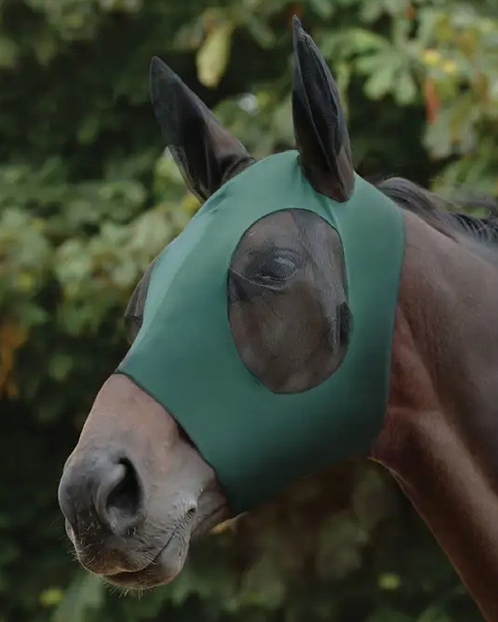 Hunter Black coloured WeatherBeeta Stretch Bug Eye Saver With Ears on blurry background