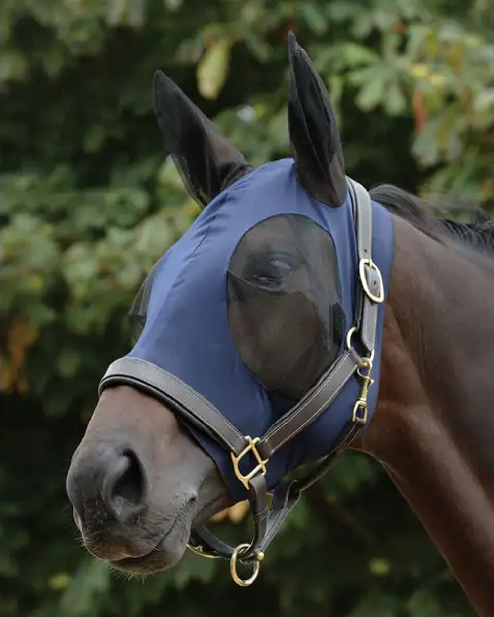 Navy Black coloured WeatherBeeta Stretch Bug Eye Saver With Ears on blue background