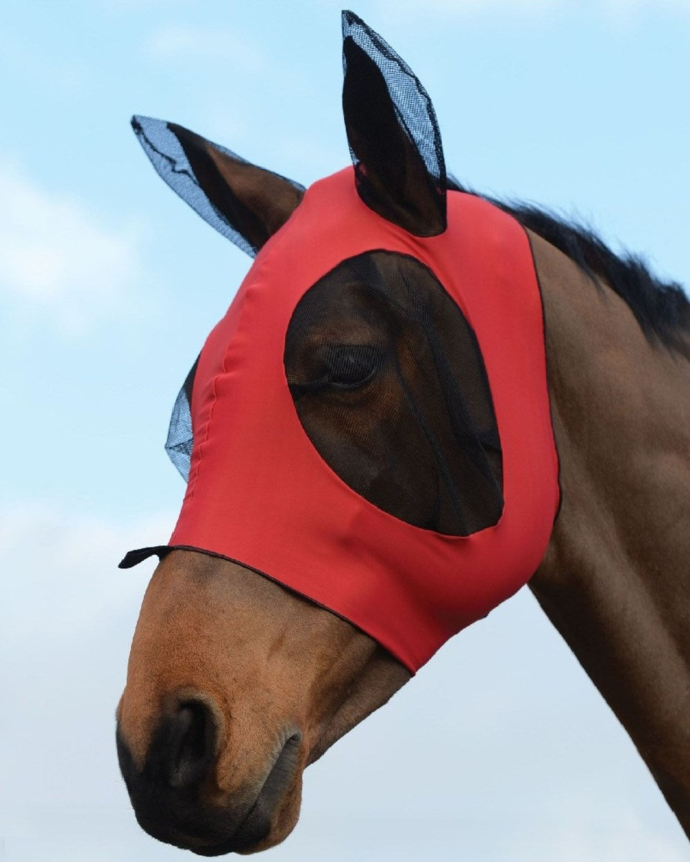 Red Black coloured WeatherBeeta Stretch Bug Eye Saver With Ears on blue background