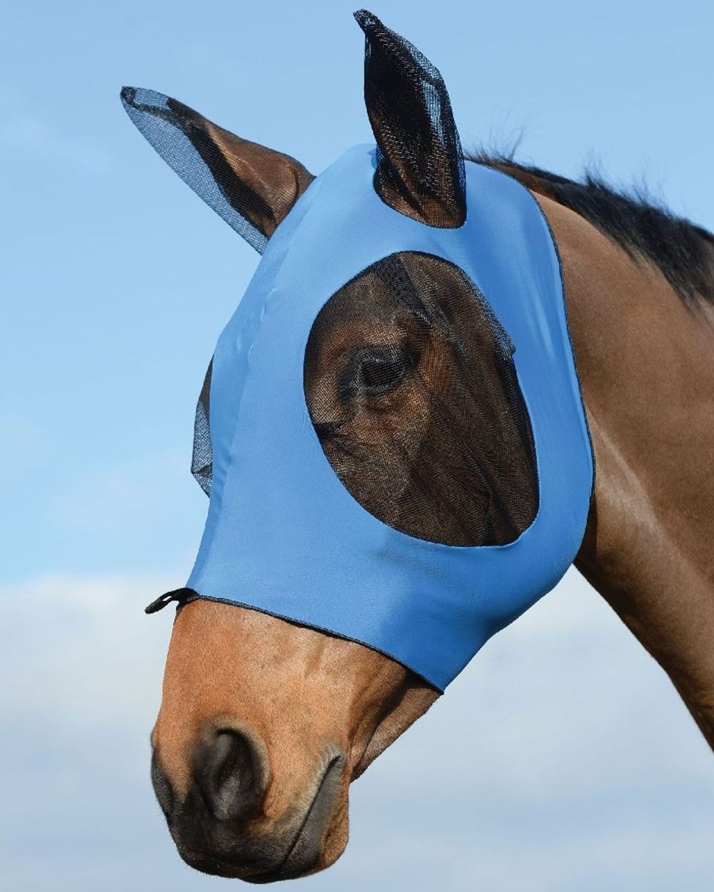 Royal Blue Black coloured WeatherBeeta Stretch Bug Eye Saver With Ears on blurry background