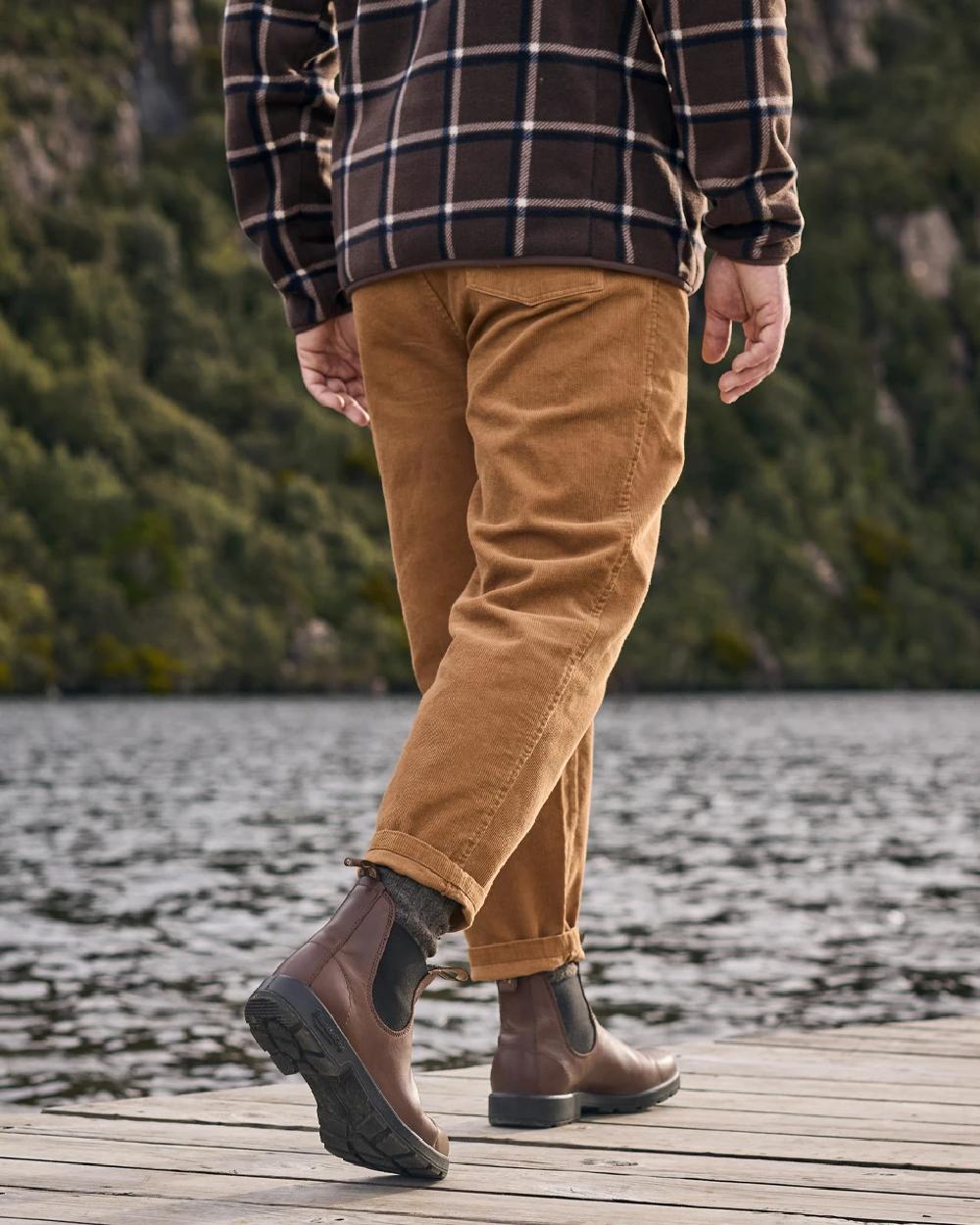 Sierra Brown coloured Blundstone 2305 Brown Leather Chelsea Boots on forest background