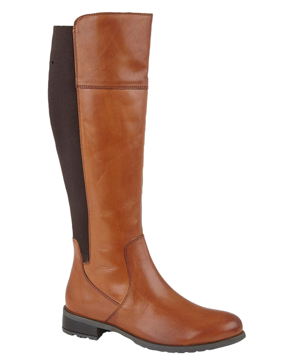 Tan Coloured Cipriata Womens Silvia Elasticated Calf Inside Zip High Leg Boots on White Background