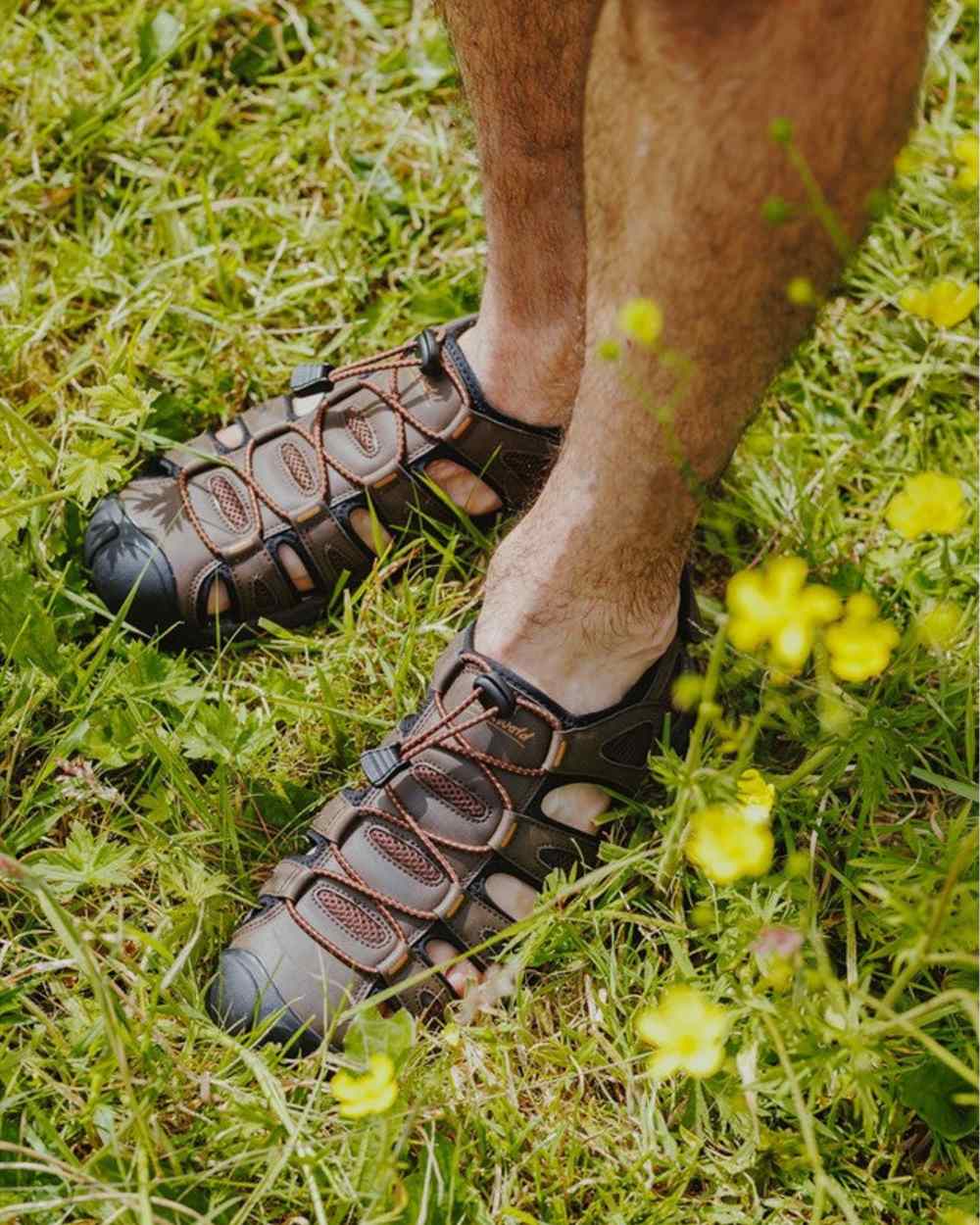 Brown Coloured Cotswold Mens Ampney Sandals on Grass Background