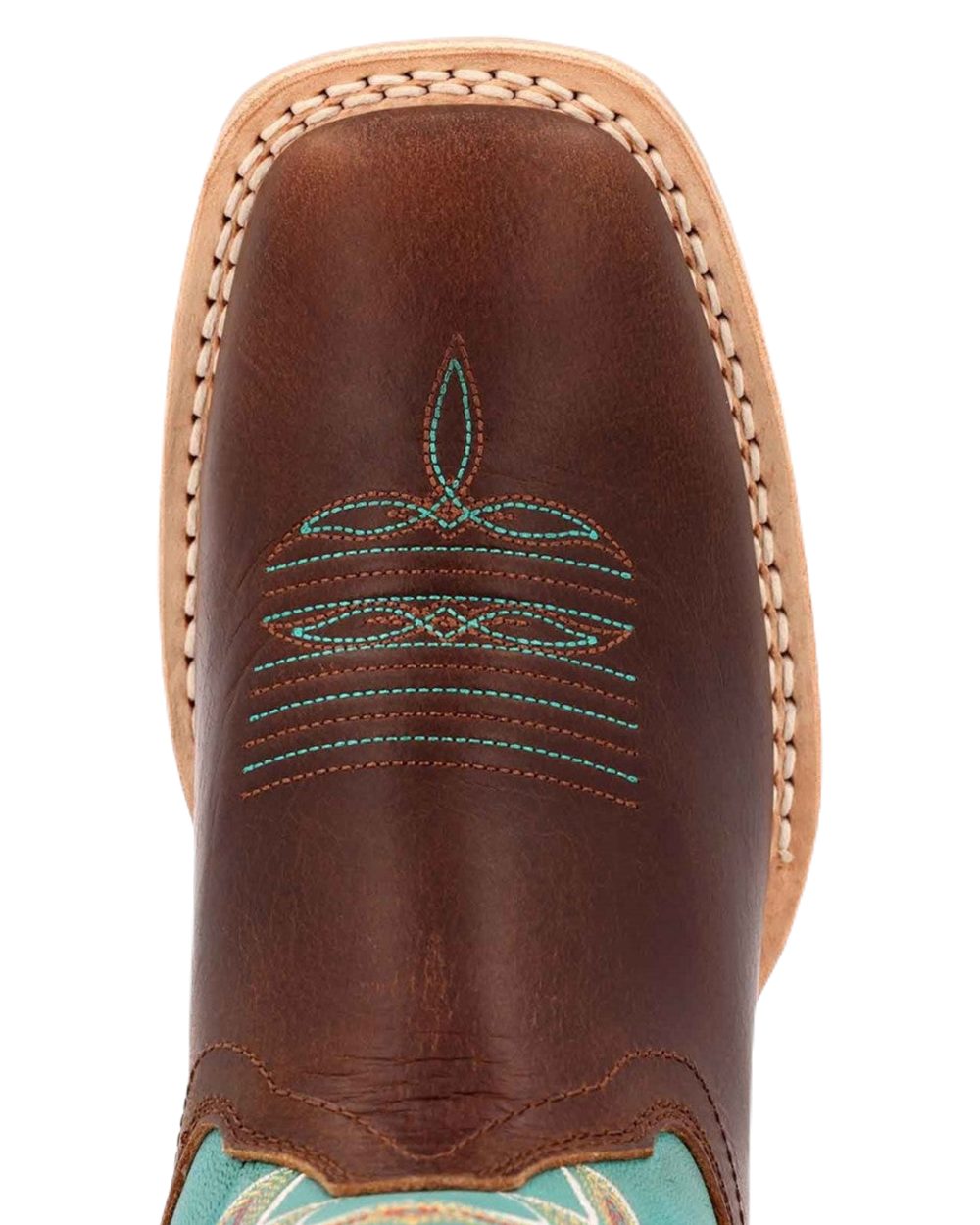 Bay Brown Arctic Blue Coloured Bay Brown Arctic Blue on White Background