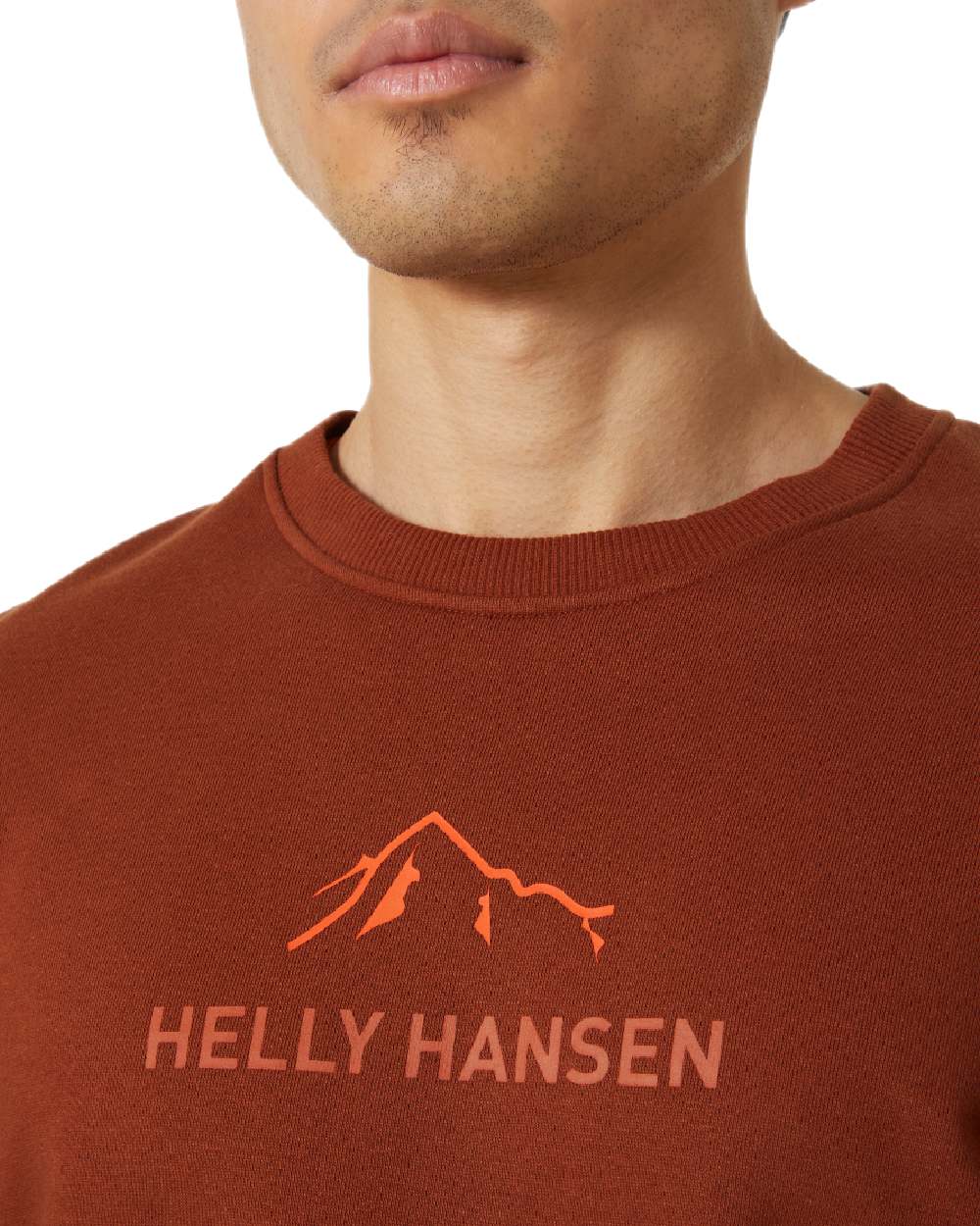 Iron Oxide Coloured Helly Hansen F2F Organic Cotton Sweater on White Background
