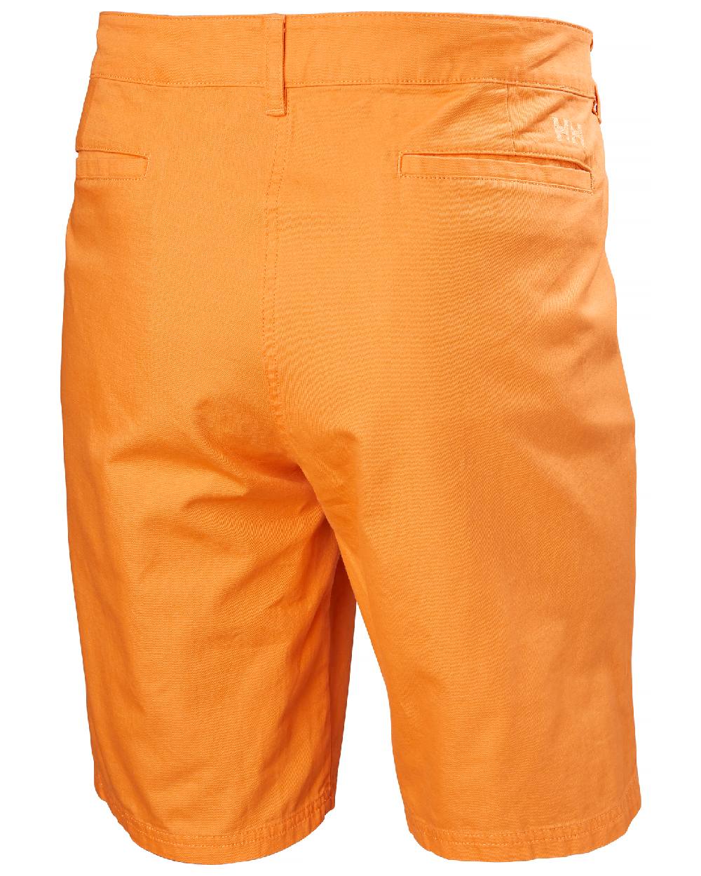 Poppy Orange coloured Helly Hansen Mens Dock Shorts on white background