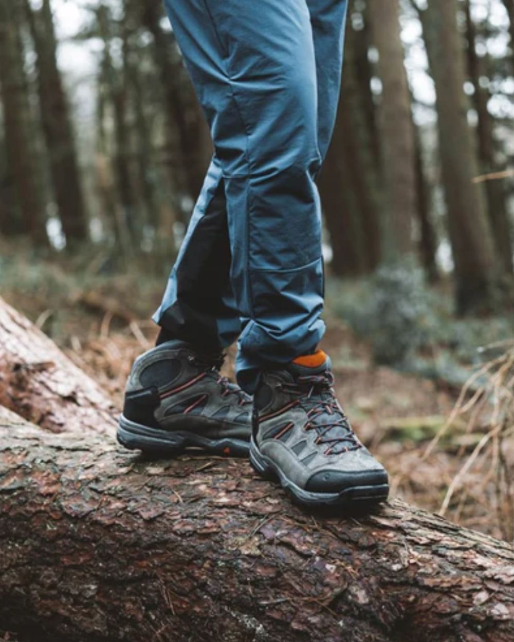 Charcoal Graphite Coloured Hi-Tec Mens Bandera II Wide Boots On A Forest Background