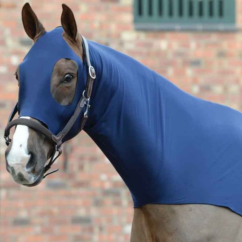 horse hoods. Brown horse in blue horse hood covering head and neck.