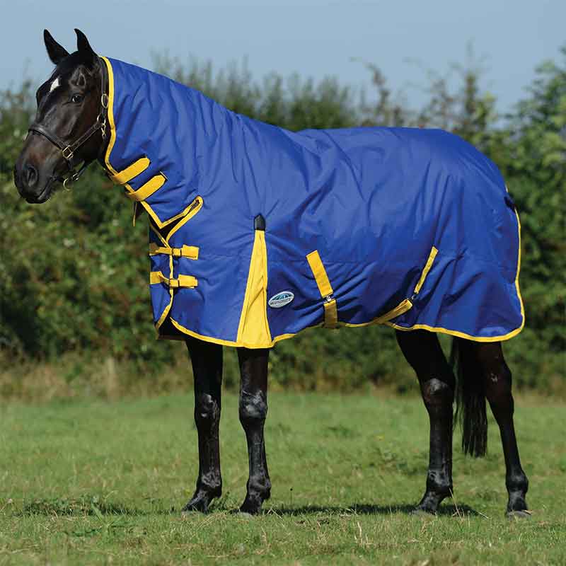 Horse rugs and sheets. Horse wears a blue rug with yellow trim whilst standing in field.