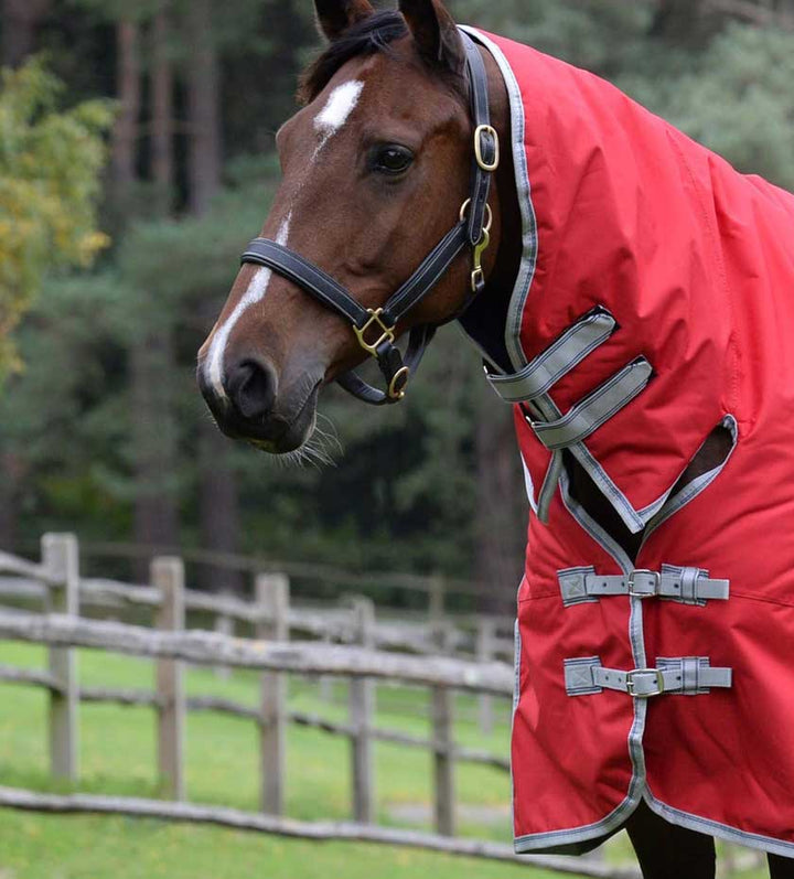 Horses and Equestrian at Hollands country clothing