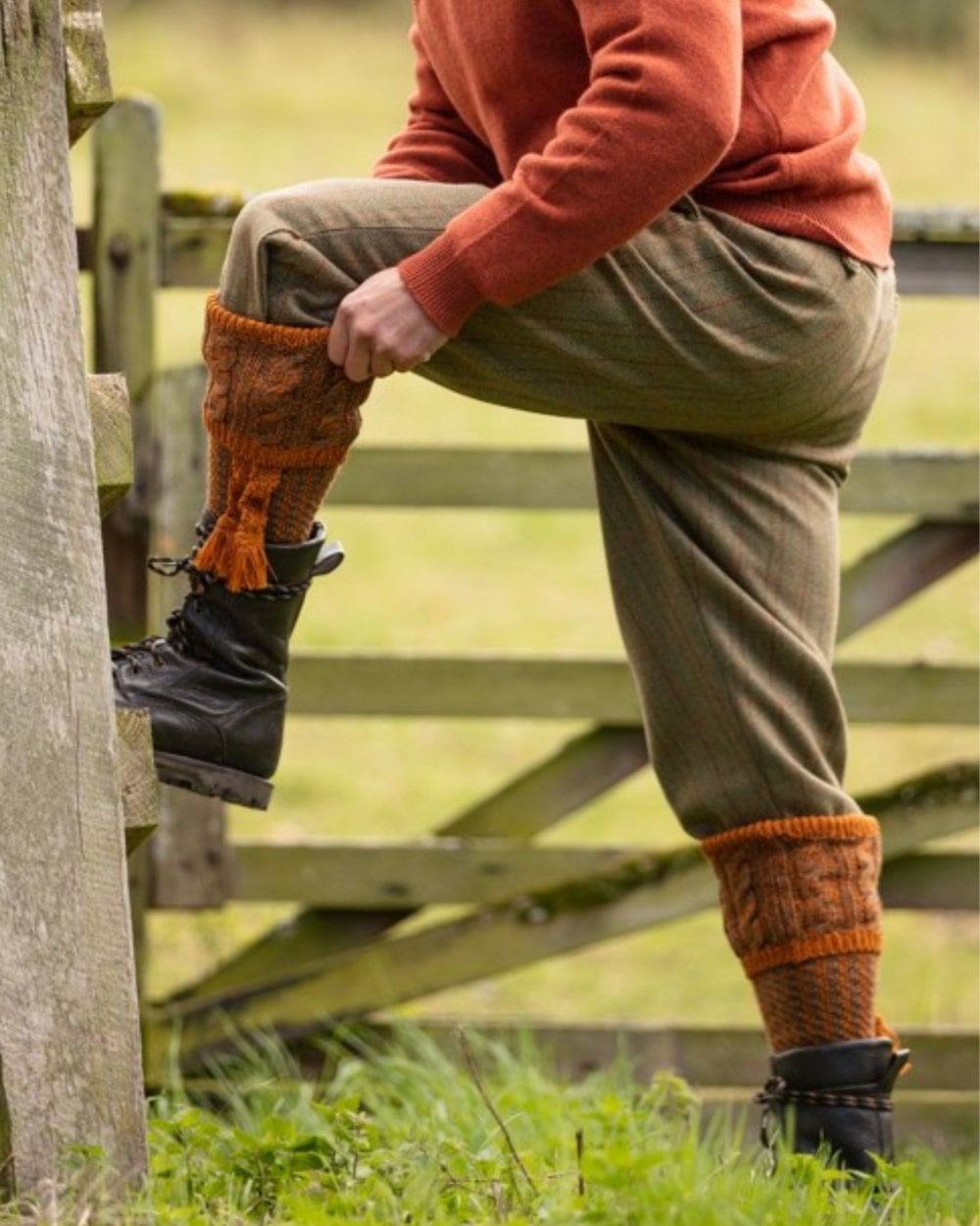 Honeysuckle coloured House of Cheviot Reiver Socks on field background