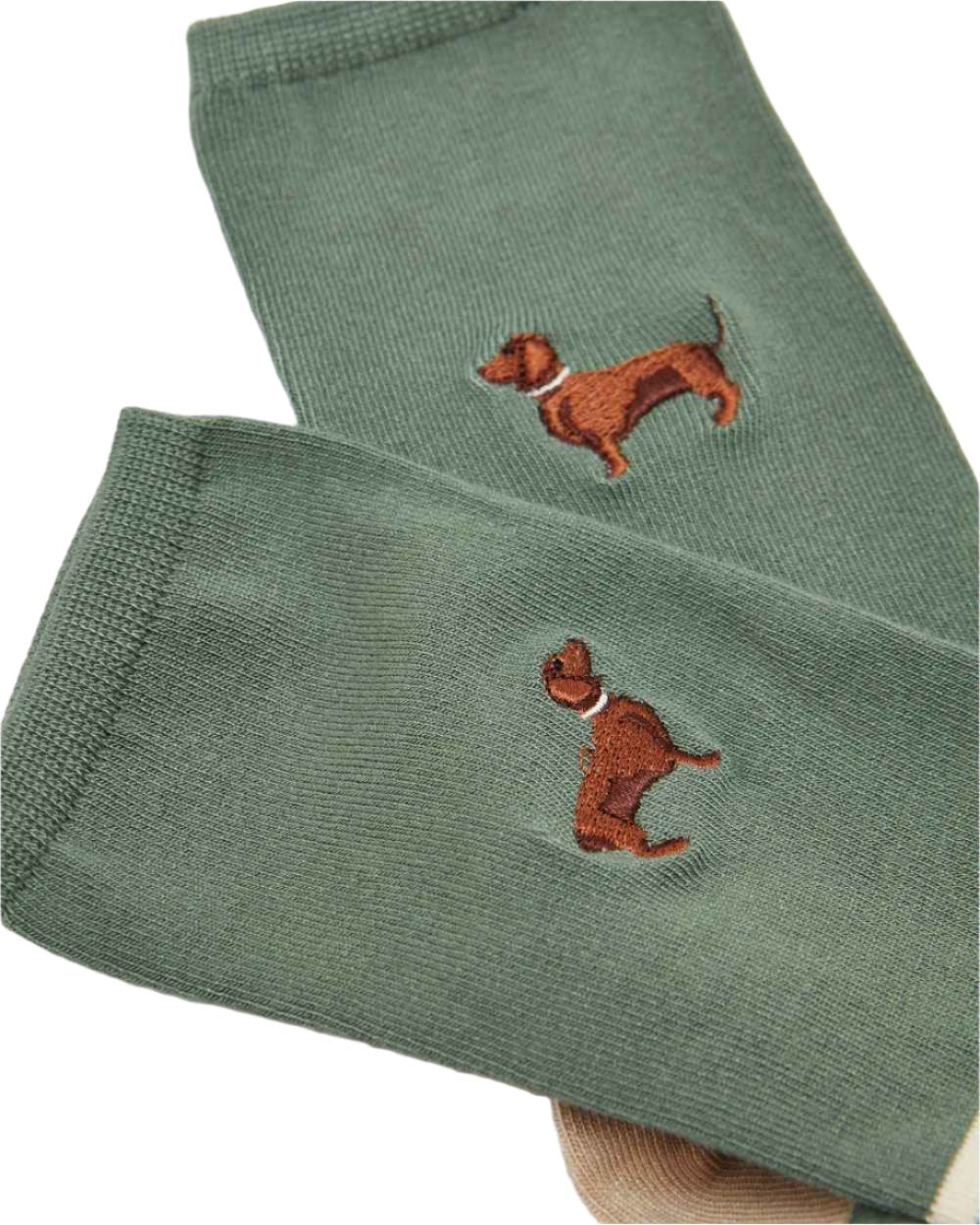Green Dog Coloured Joules Everyday 2 Pack Socks On A White Background