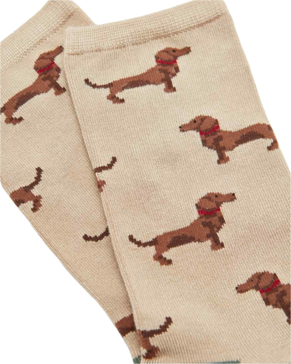 Green Dog Coloured Joules Everyday 2 Pack Socks On A White Background