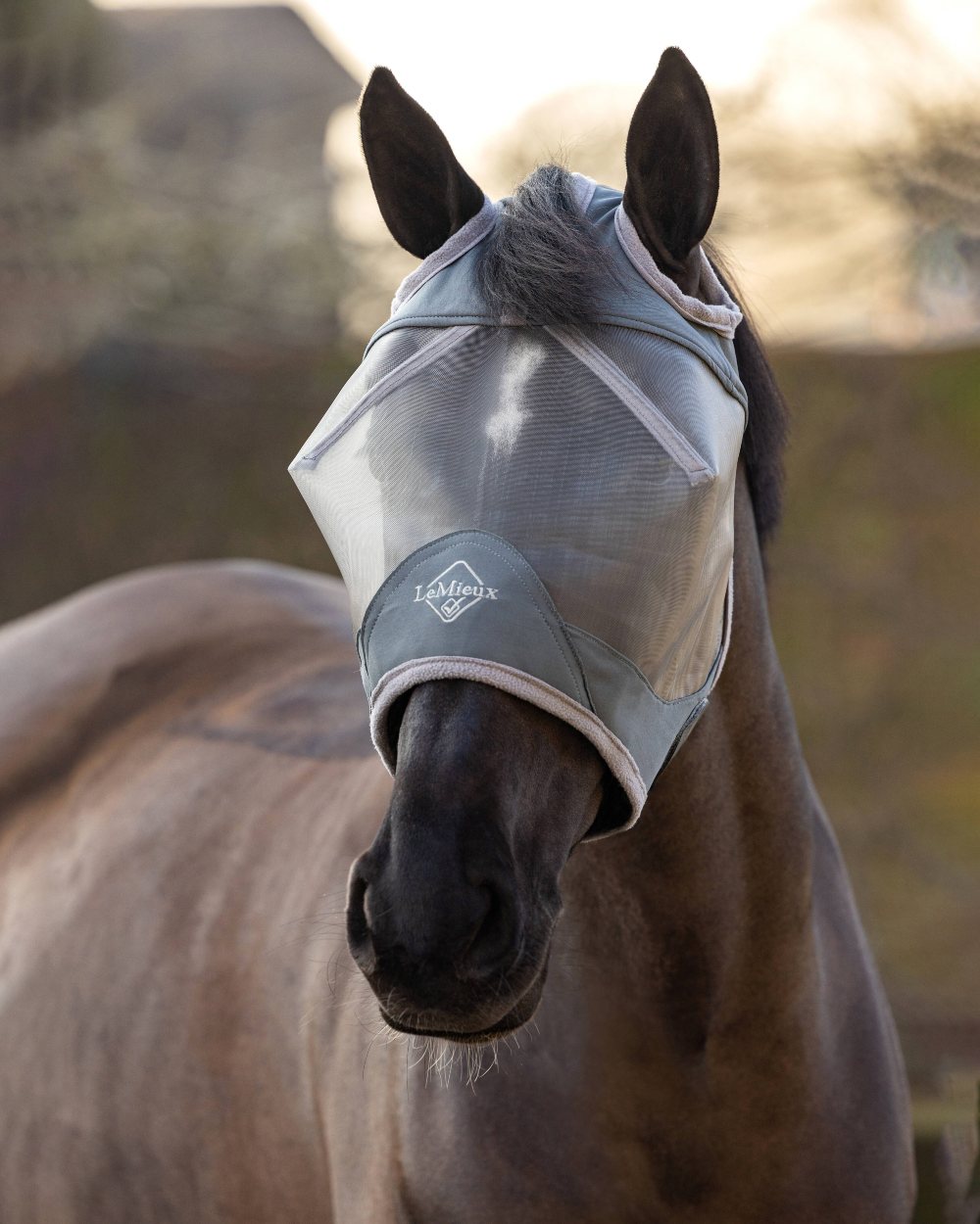 Grey coloured LeMieux ArmourShield Pro Standard Fly Mask with horse in background