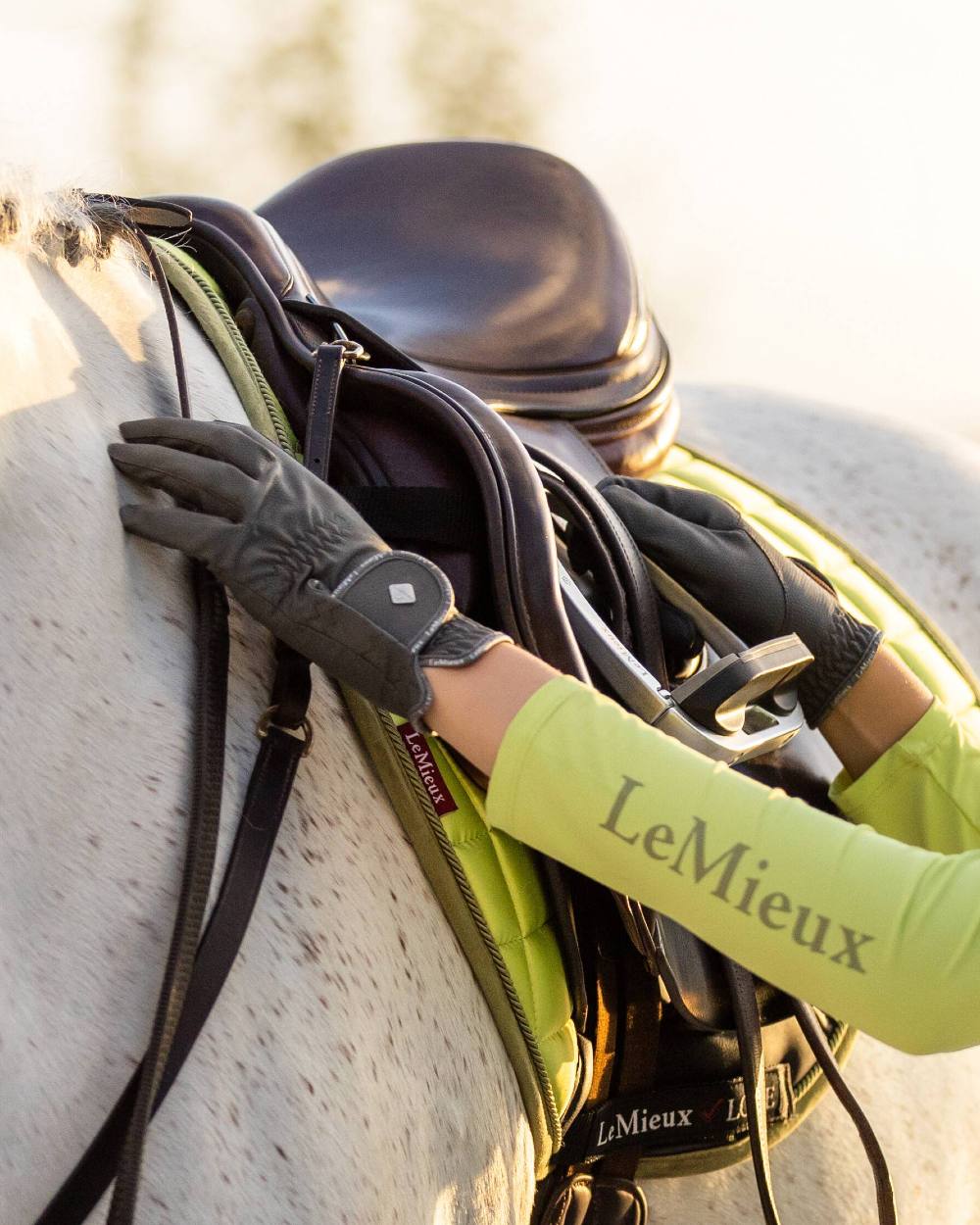 Grey coloured LeMieux Classic Riding Gloves with horse in background