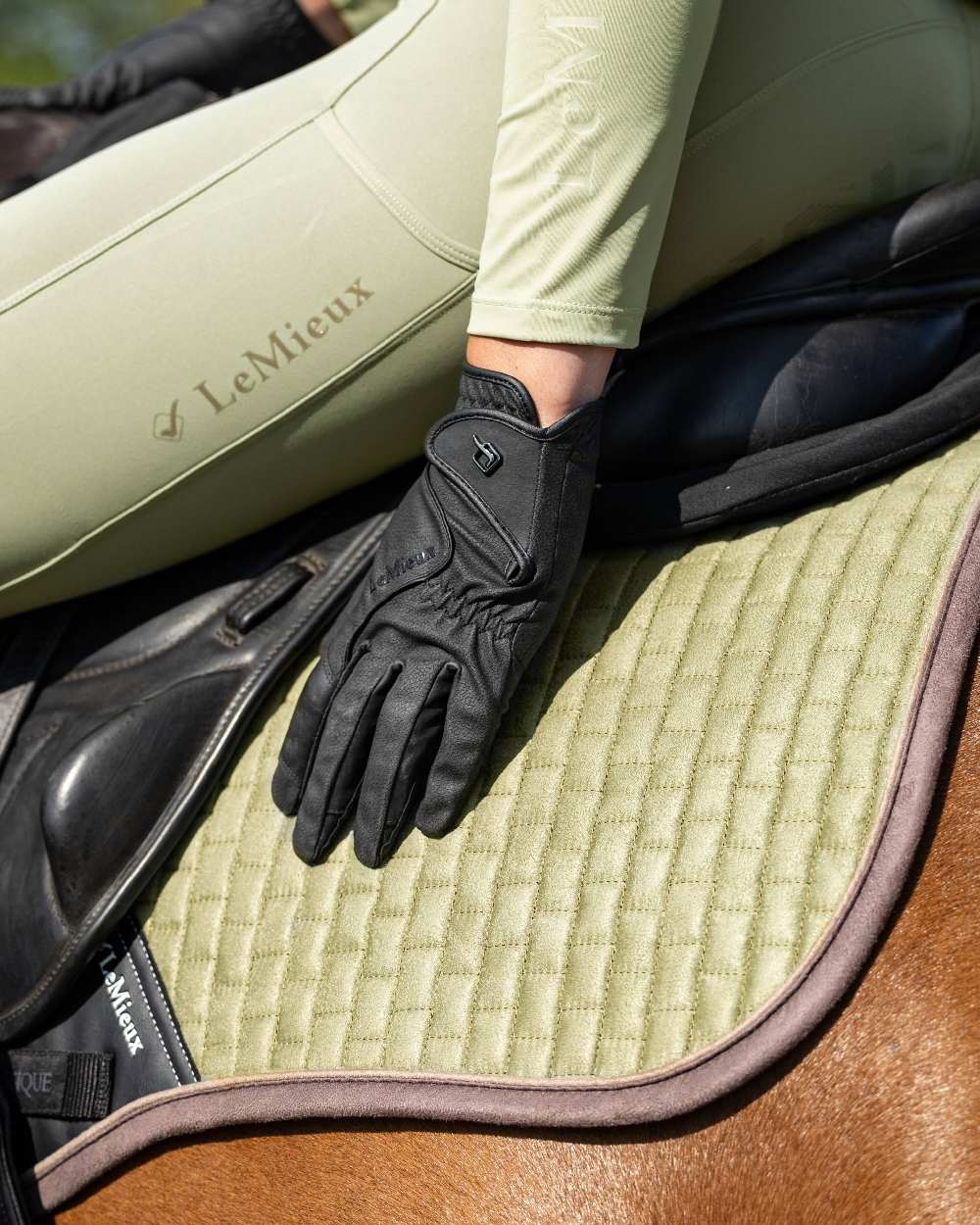 Black coloured LeMieux Close Contact Gloves on horse background
