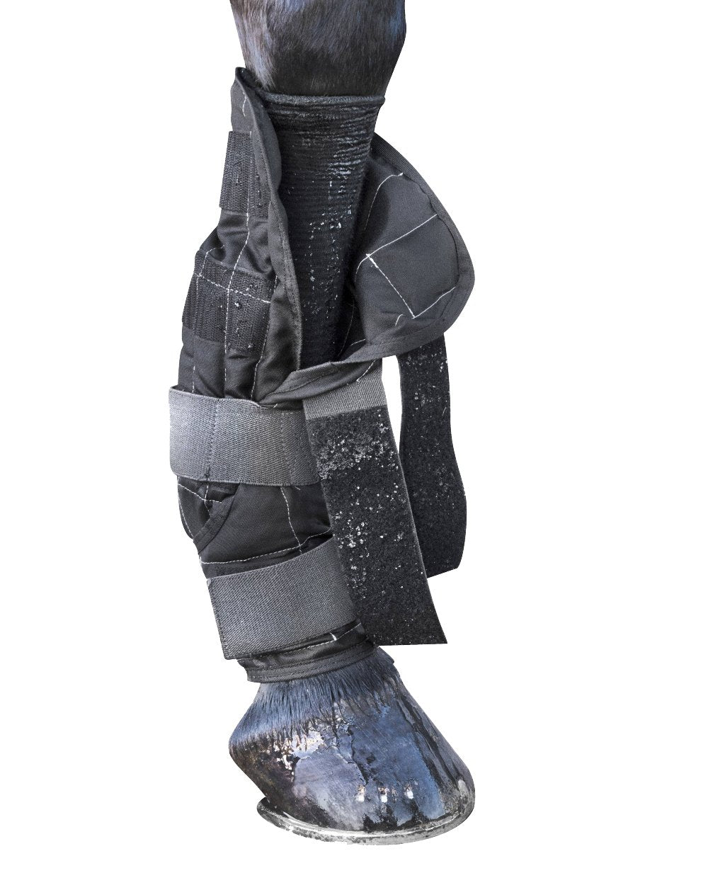 Black coloured LeMieux Cold Water Boots on white background