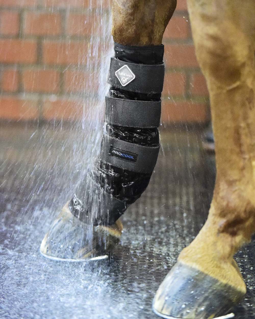 Black coloured LeMieux Cold Water Boots on blurry background