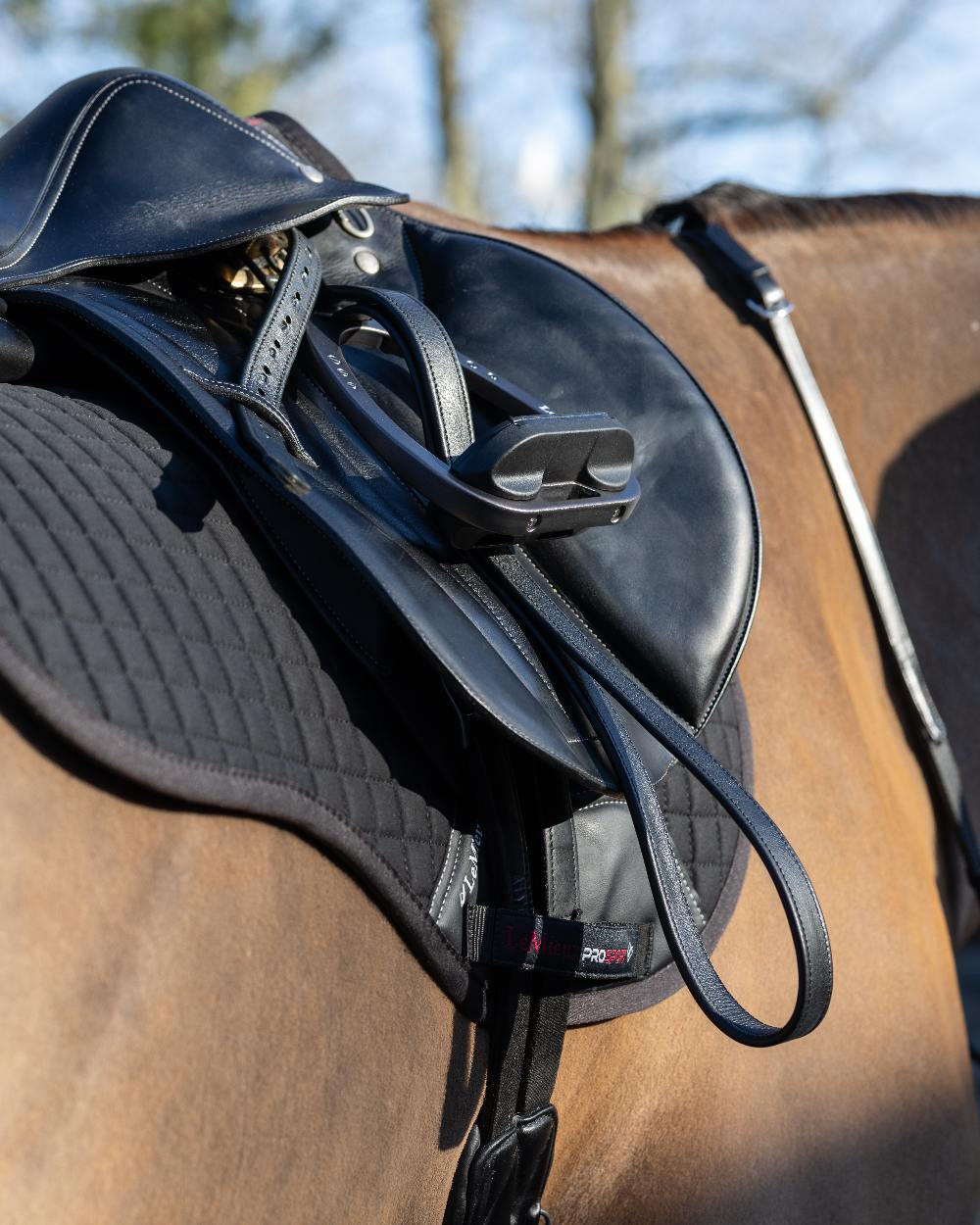 Black coloured LeMieux Cotton GP Squares on blurry background