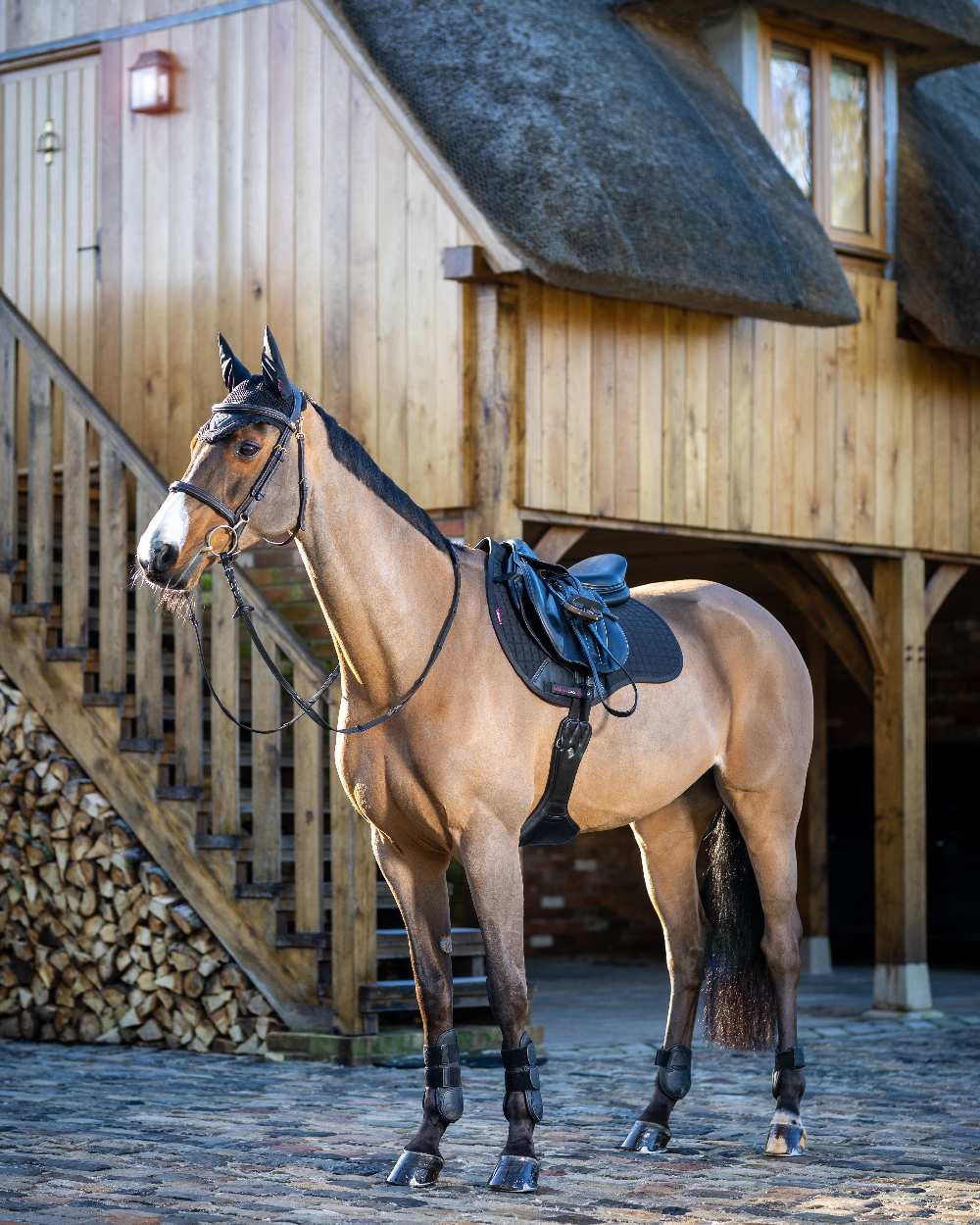 Black coloured LeMieux Cotton GP Squares with stable in background