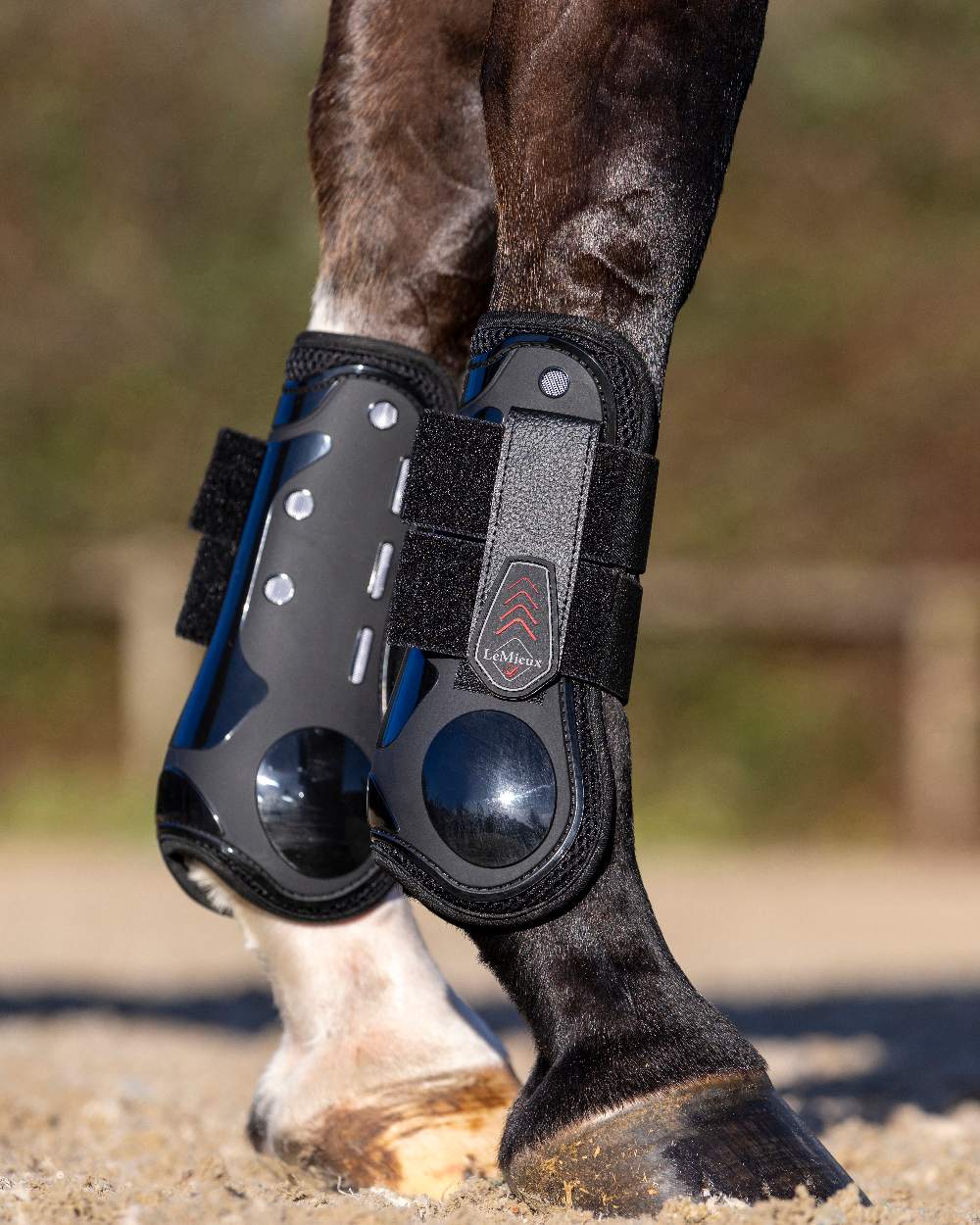 Black coloured LeMieux Derby ProJump Tendon Boots on blurry background