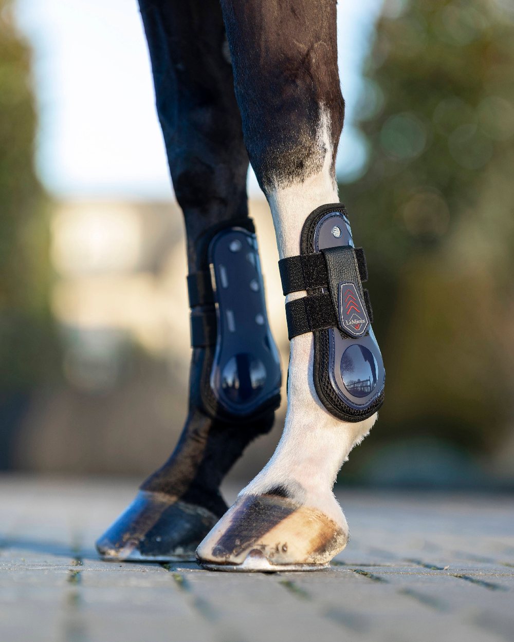 Navy coloured LeMieux Derby ProJump Tendon Boots on blurry background