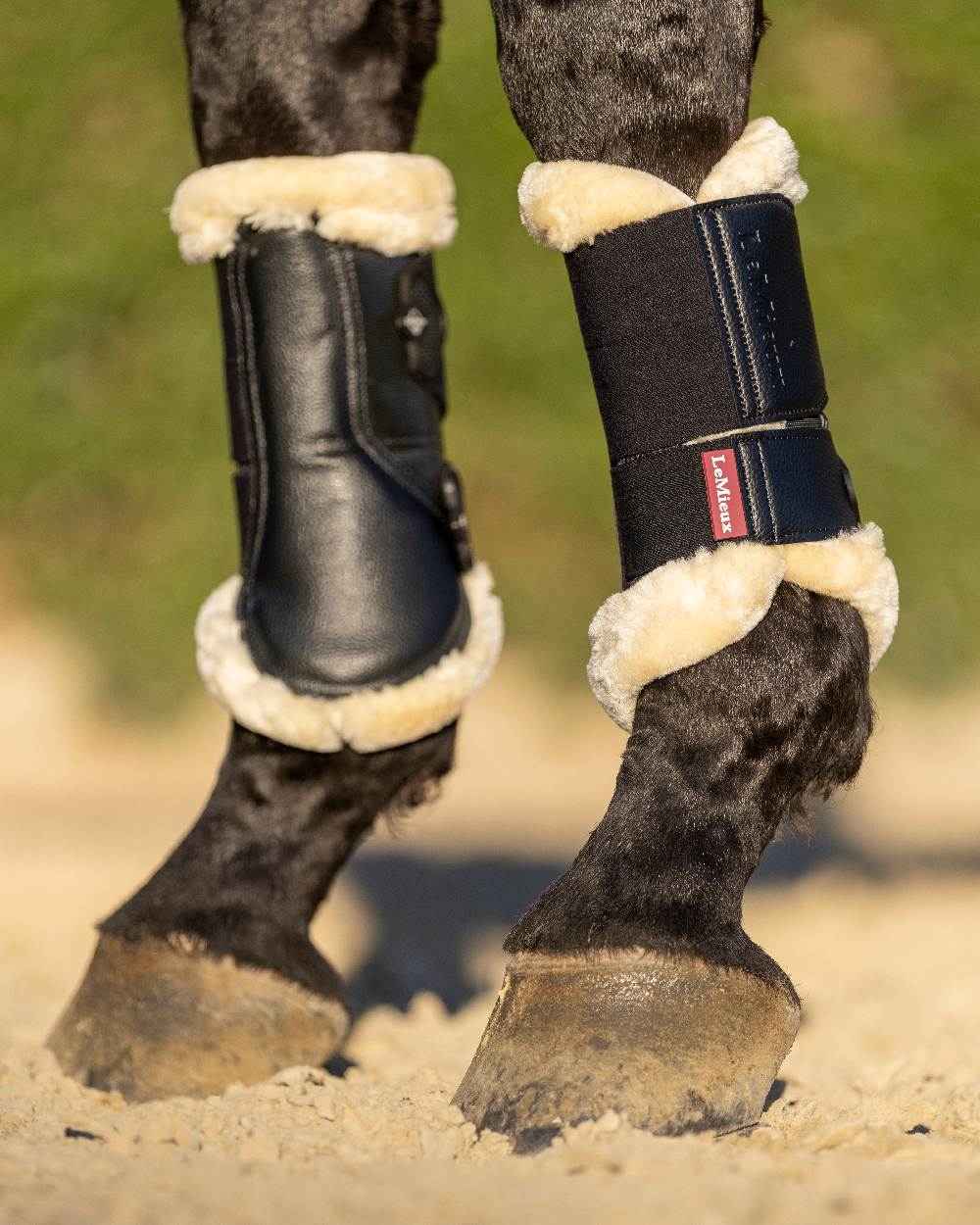 Black/Natural coloured LeMieux Fleece Edged Mesh Brushing Boots on green background