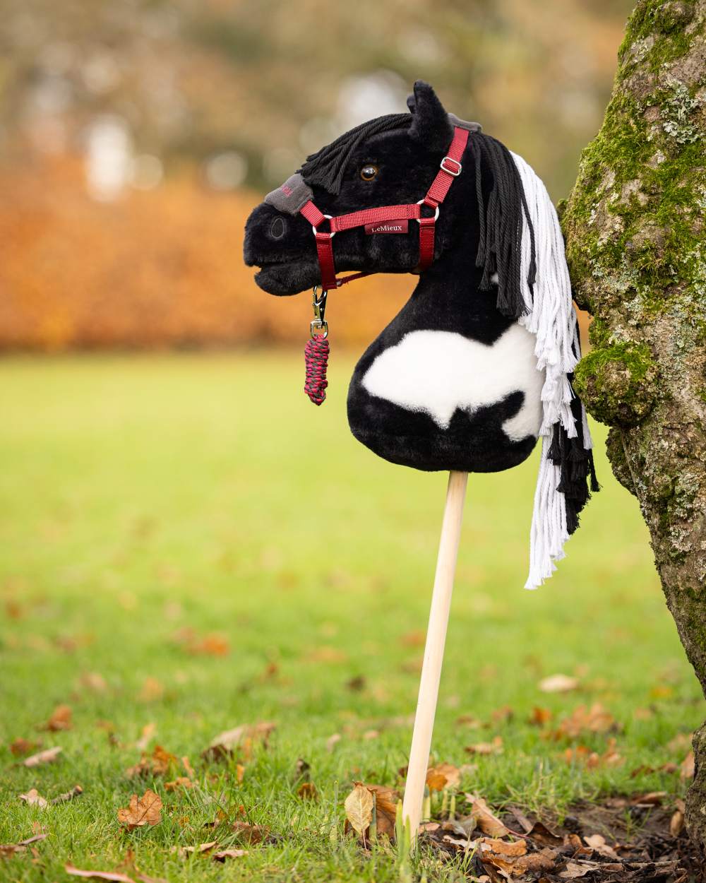 Razzle Coloured LeMieux Hobby Horse On A Outer Yard Background