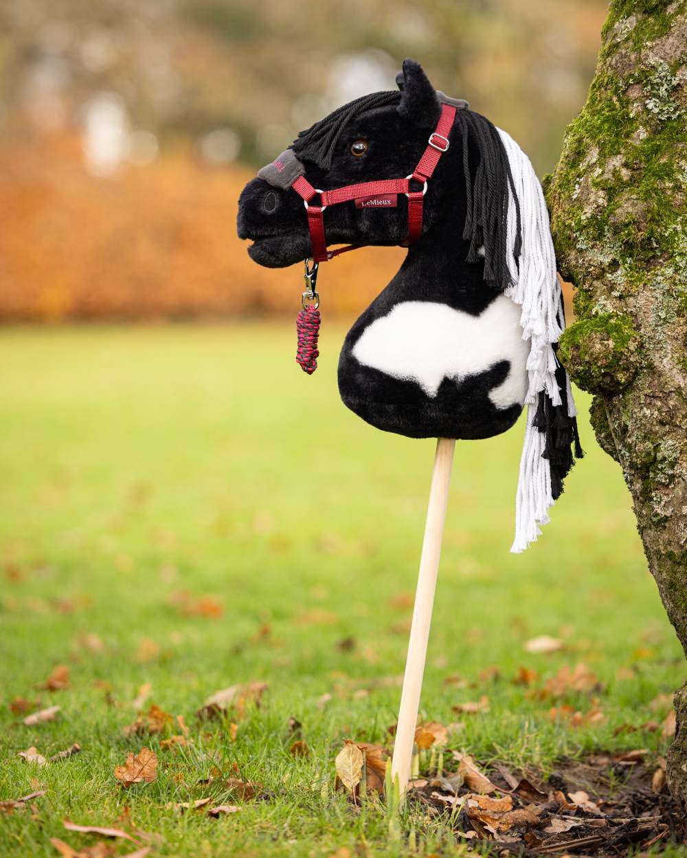 Ember Coloured LeMieux Hobby Horse Vogue Headcollar On A Outer Yard Background
