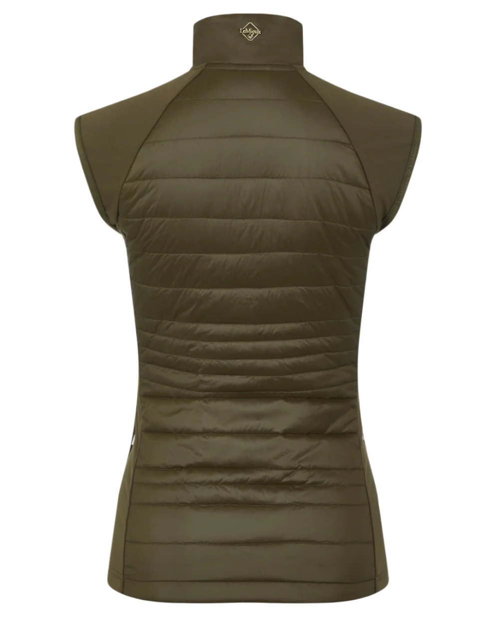 Alpine Coloured LeMieux Juliette Gilet On A White Background