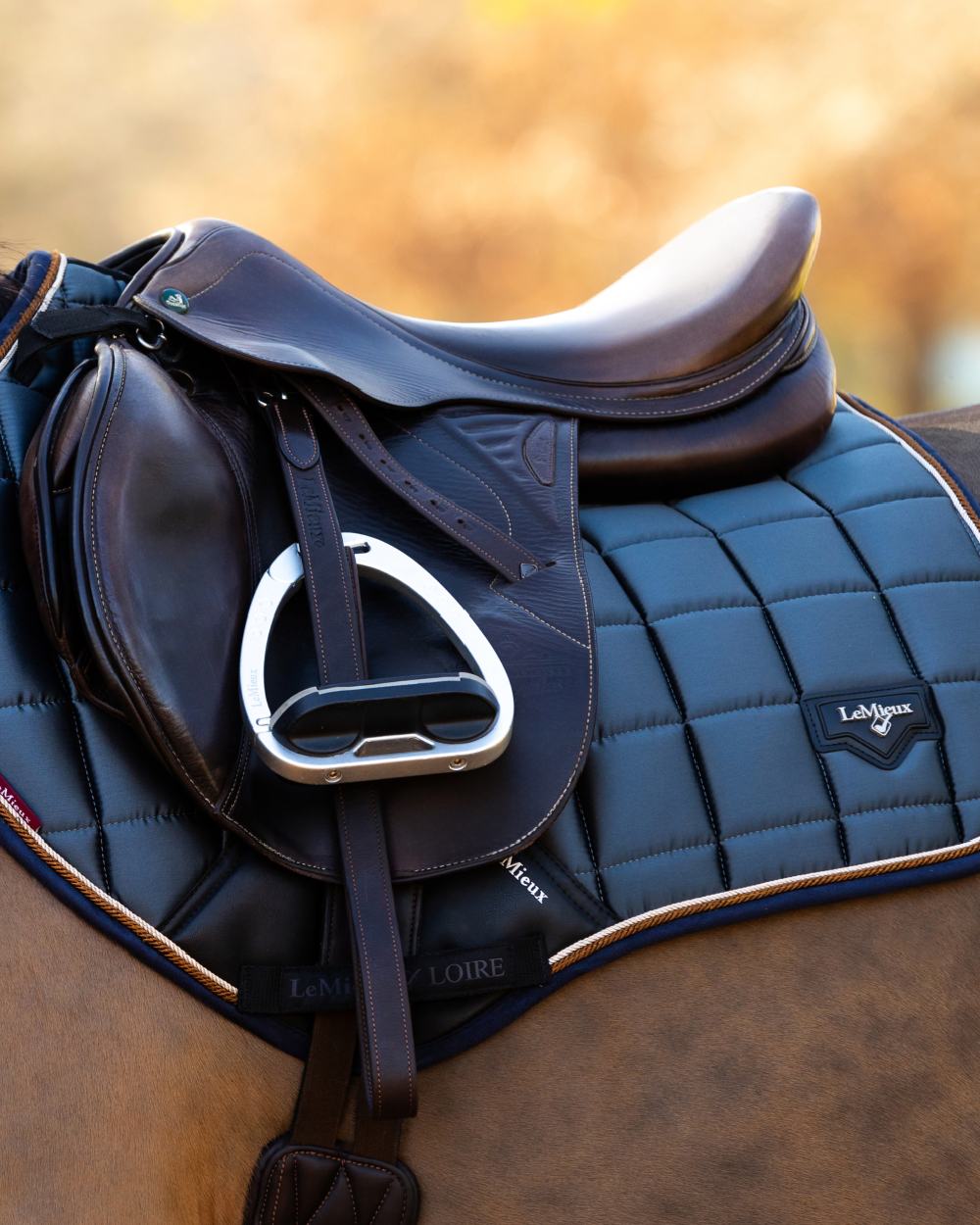 Petrol Coloured LeMieux Loire Classic Close Contact Square On A Outer Yard Background