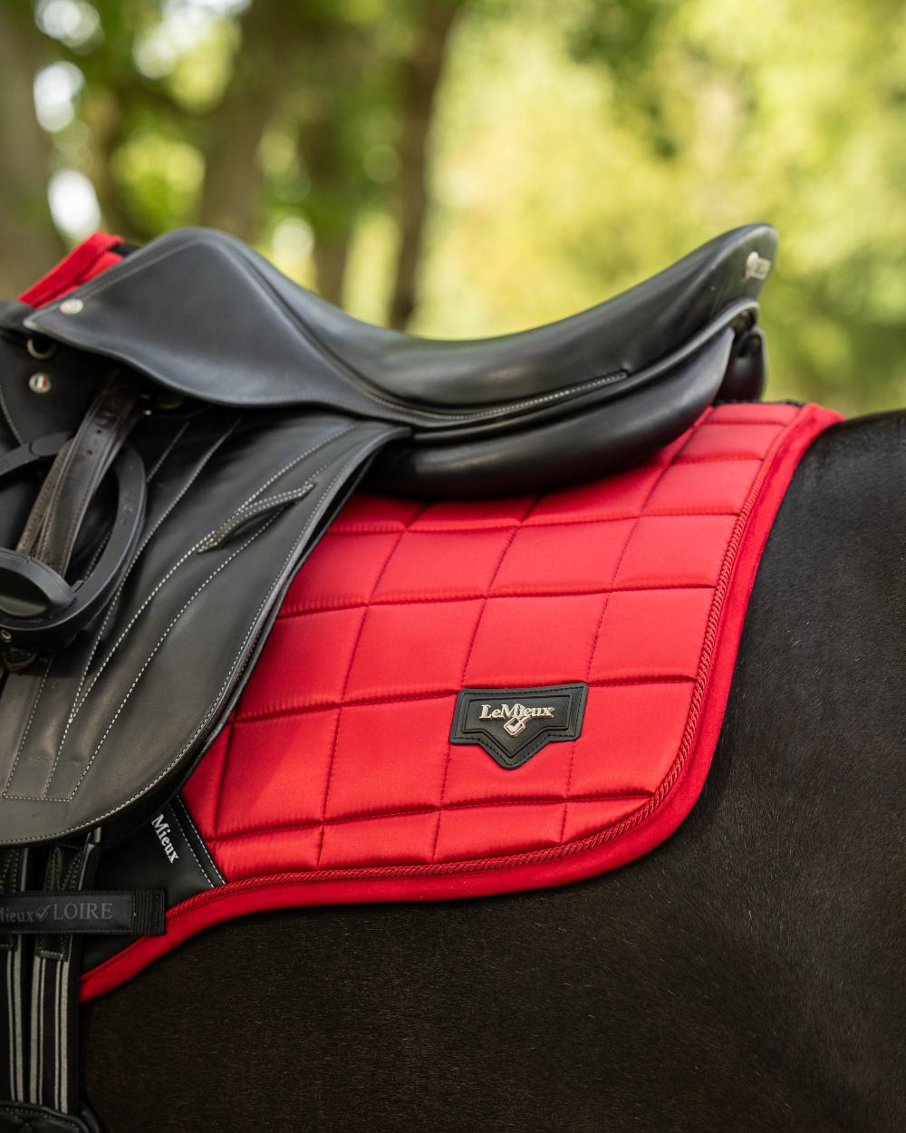 Chilli Coloured LeMieux Loire Close Contact Square On A Riding Arena Background