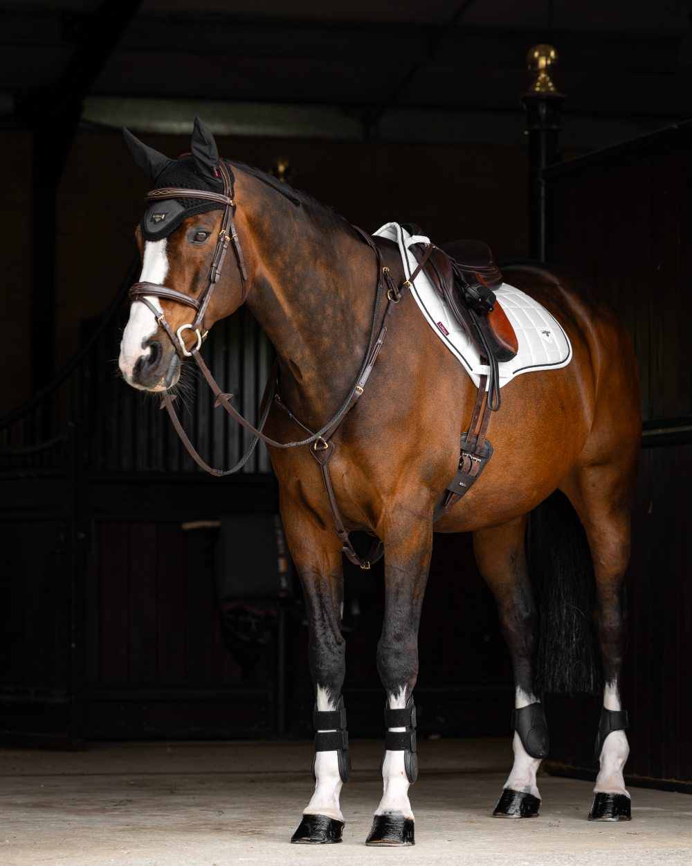 White Coloured LeMieux Loire Close Contact Square On A Stable Background