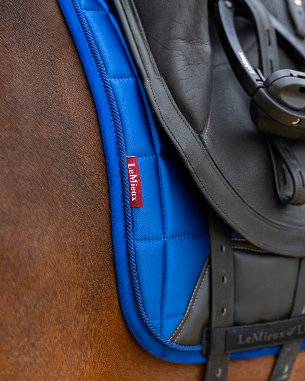 Benetton Coloured LeMieux Loire Dressage Square On A White Background