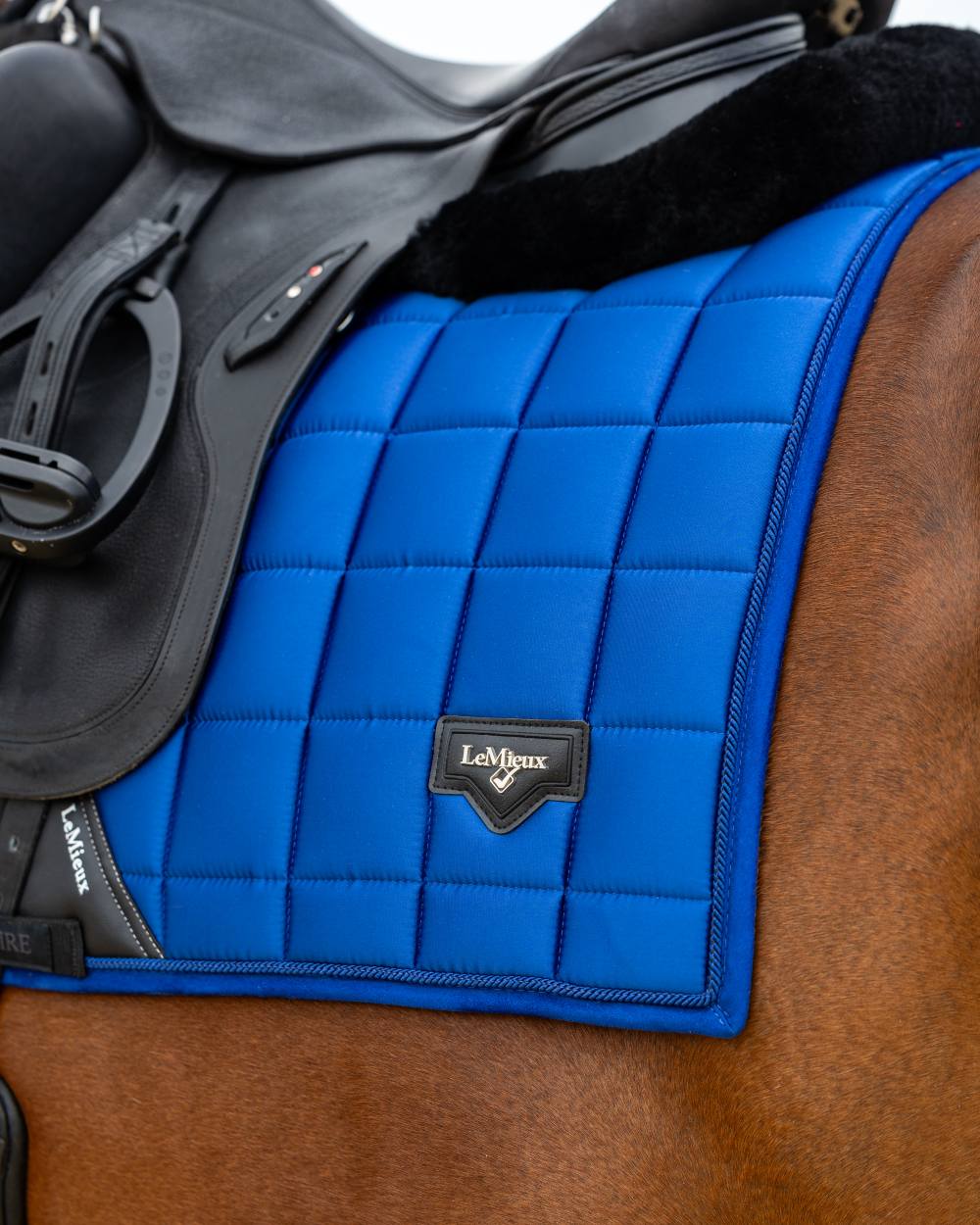 Benetton Coloured LeMieux Loire Dressage Square On A Riding Arena Background