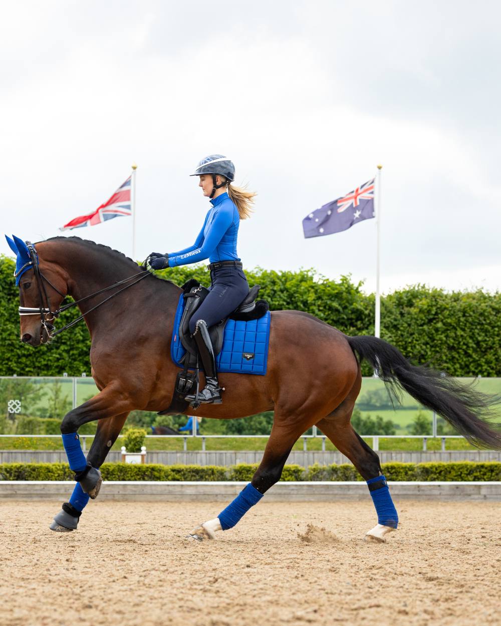 Benetton Coloured LeMieux Loire Dressage Square On A Riding Arena Background