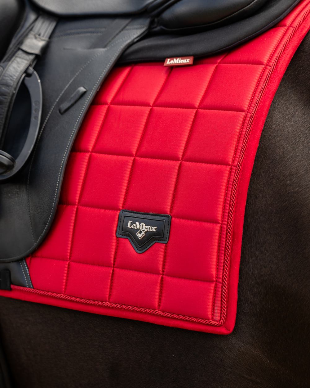 Chilli Coloured LeMieux Loire Dressage Square On A White Background