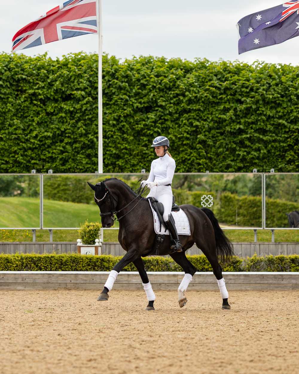 White Coloured LeMieux Loire Dressage Square On A Riding Arena Background