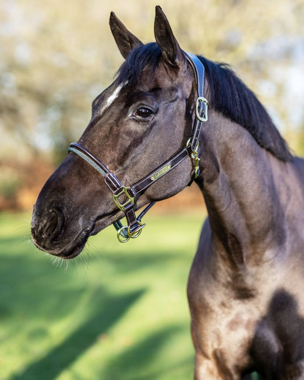 Brown coloured LeMieux Rope Control Headcollar on blurry background