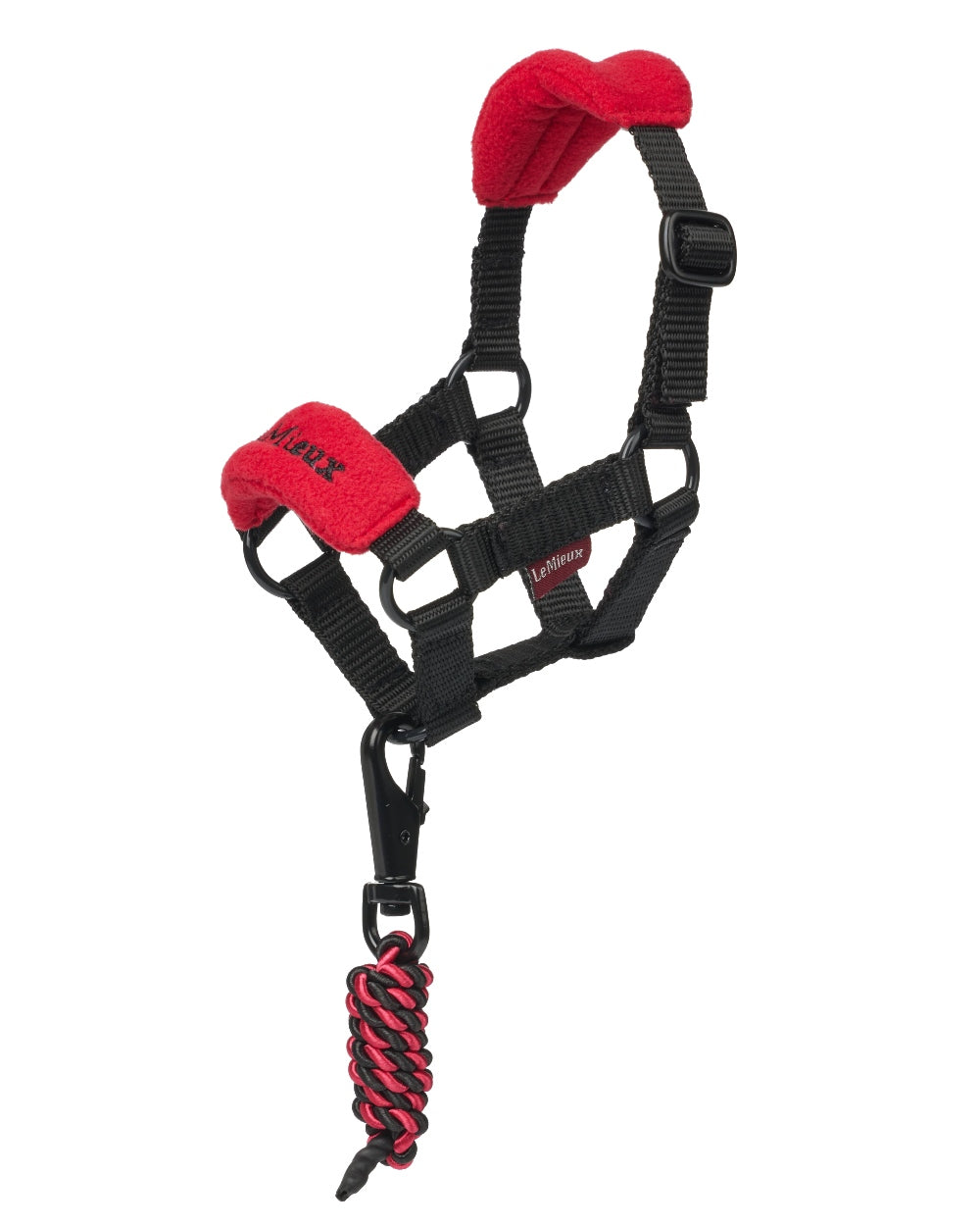Chilli coloured LeMieux Toy Pony Vogue Headcollar on white background