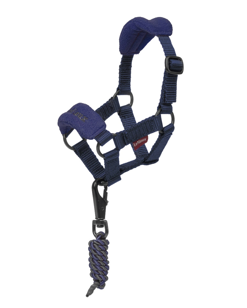 Ink Blue coloured LeMieux Toy Pony Vogue Headcollar on white background